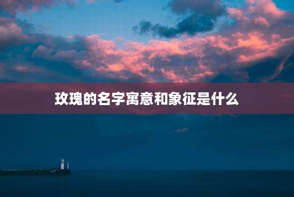 玫瑰的名字寓意和象征是什么