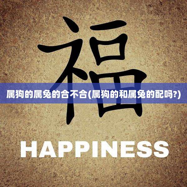 属狗的属兔的合不合(属狗的和属兔的配吗?)