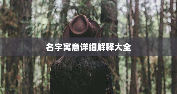 名字寓意详细解释大全