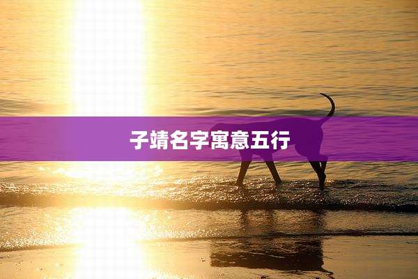 子靖名字寓意五行
