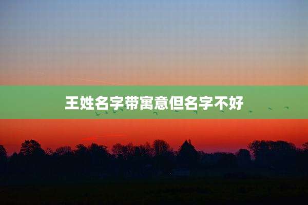 王姓名字带寓意但名字不好