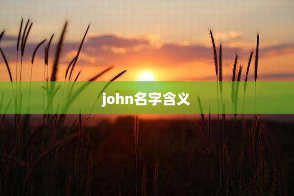 john名字含义