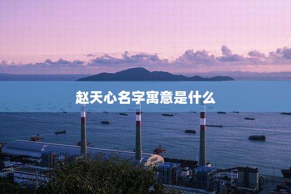 赵天心名字寓意是什么