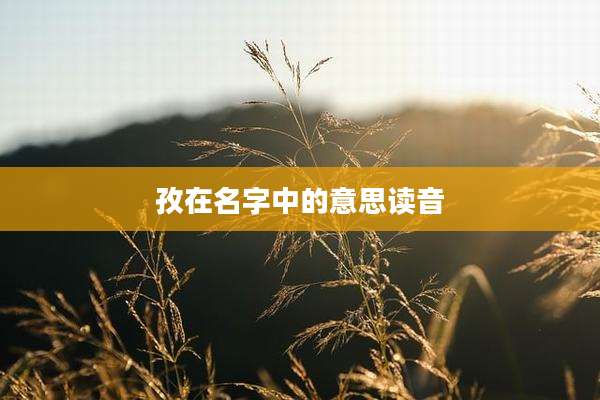 孜在名字中的意思读音