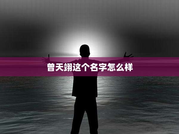 曾天翊这个名字怎么样