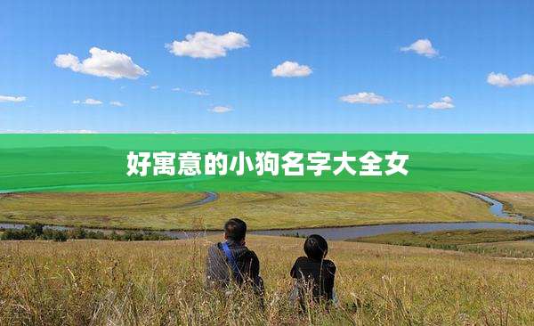 好寓意的小狗名字大全女