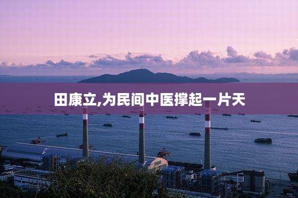 田康立,为民间中医撑起一片天