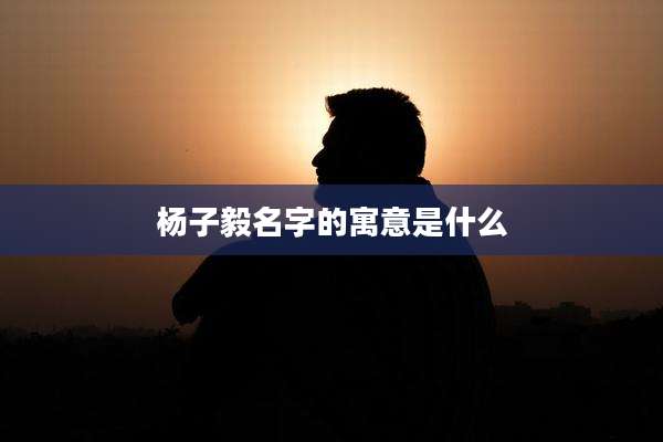 杨子毅名字的寓意是什么