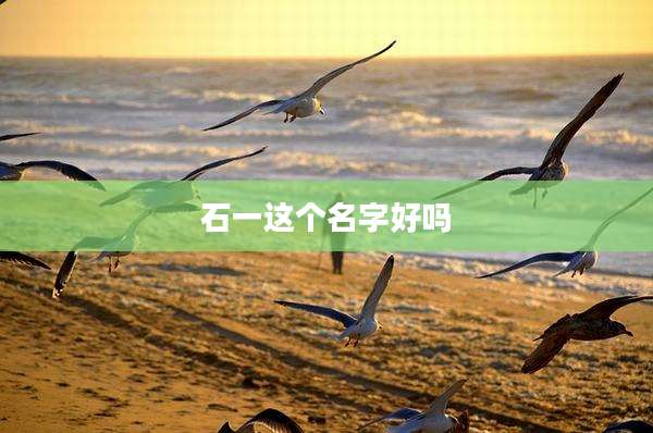 石一这个名字好吗