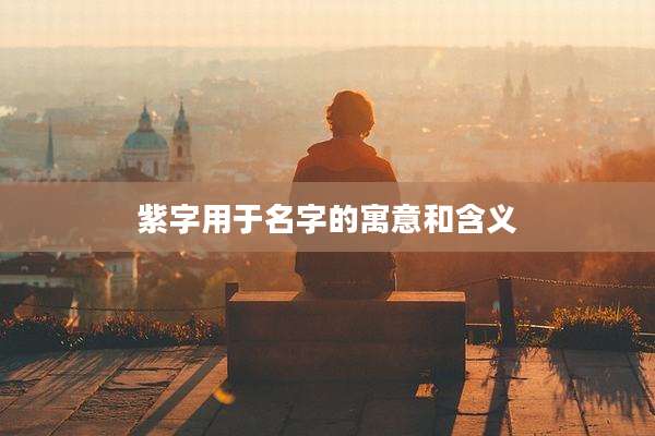 紫字用于名字的寓意和含义