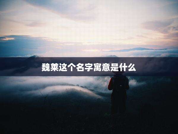 魏莱这个名字寓意是什么