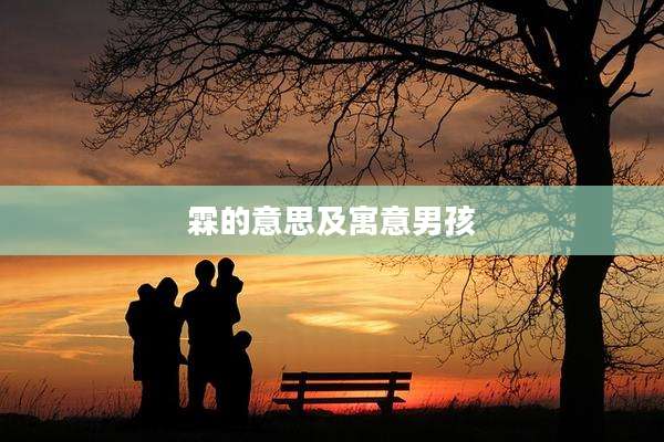 霖的意思及寓意男孩