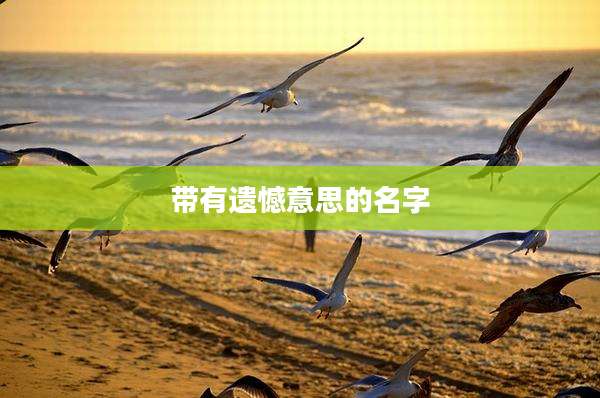 带有遗憾意思的名字