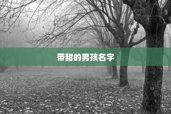 带甜的男孩名字