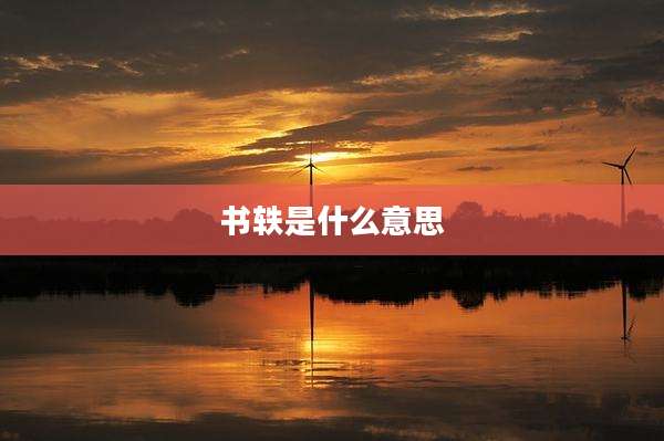 书轶是什么意思