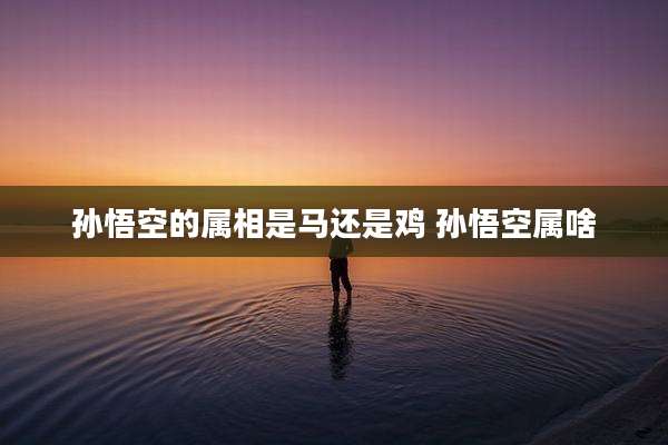 孙悟空的属相是马还是鸡 孙悟空属啥