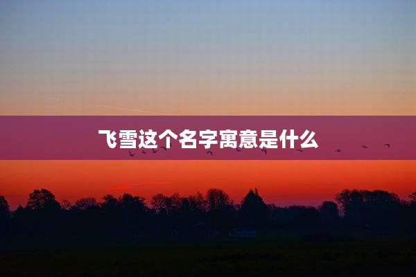 飞雪这个名字寓意是什么