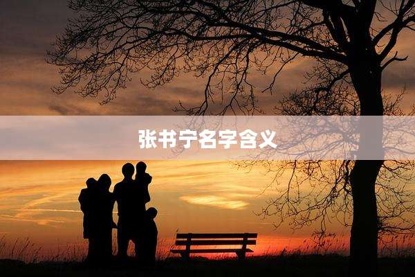 张书宁名字含义