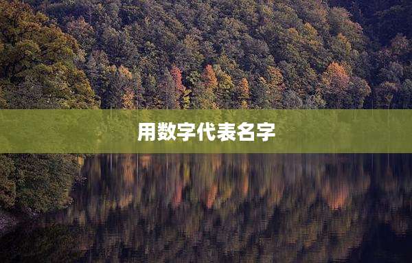 用数字代表名字