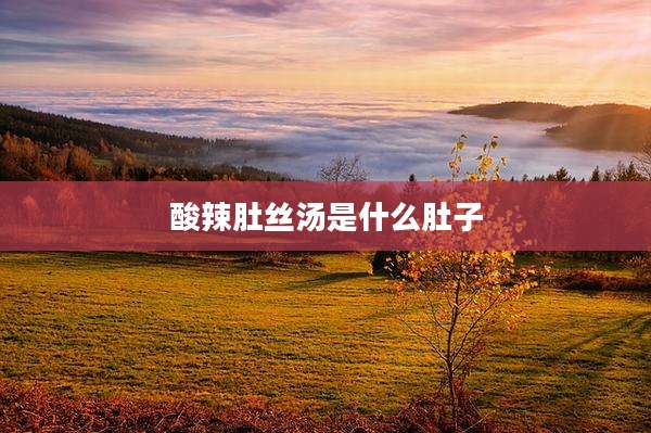 酸辣肚丝汤是什么肚子