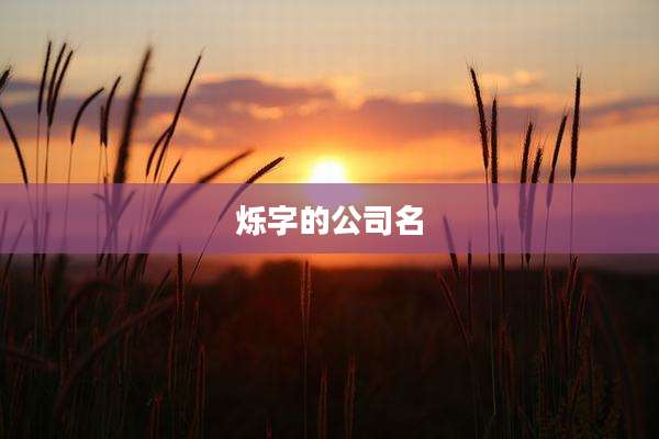 烁字的公司名
