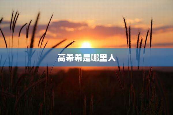 高希希是哪里人