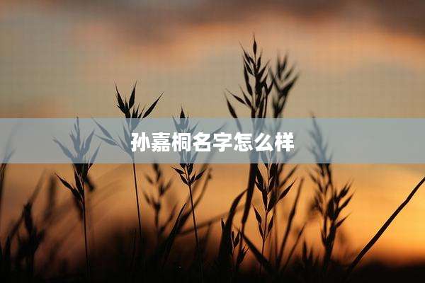 孙嘉桐名字怎么样