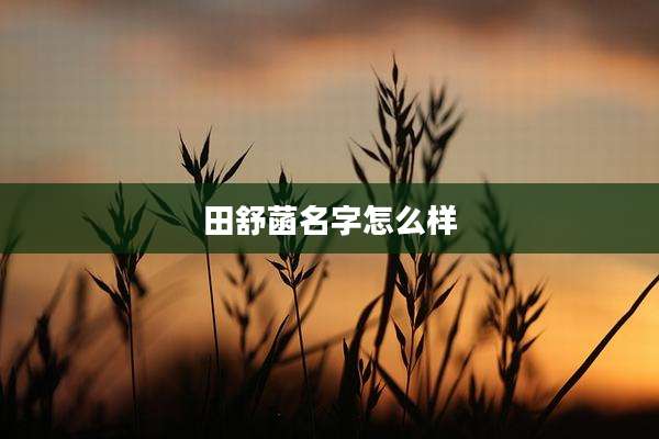 田舒菡名字怎么样