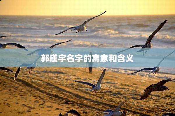 郭瑾宇名字的寓意和含义