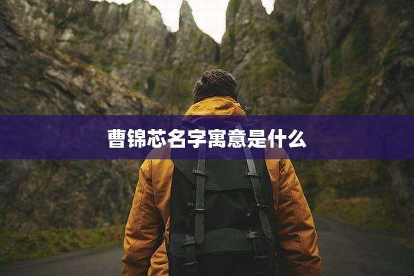 曹锦芯名字寓意是什么