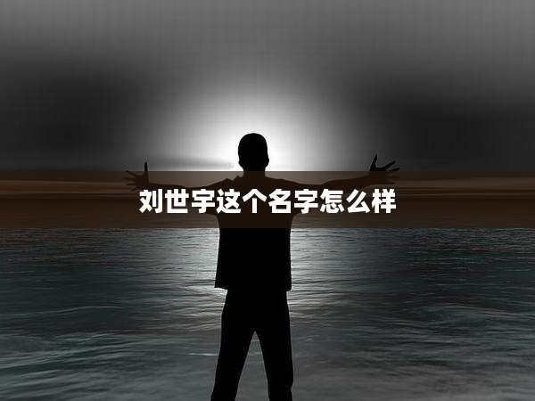 刘世宇这个名字怎么样