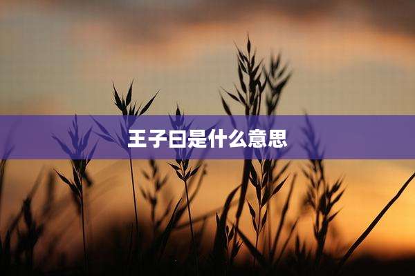 王子曰是什么意思
