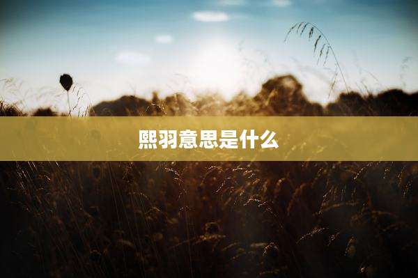 熙羽意思是什么