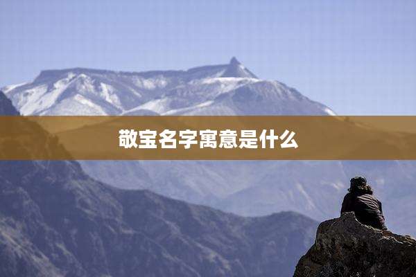 敬宝名字寓意是什么