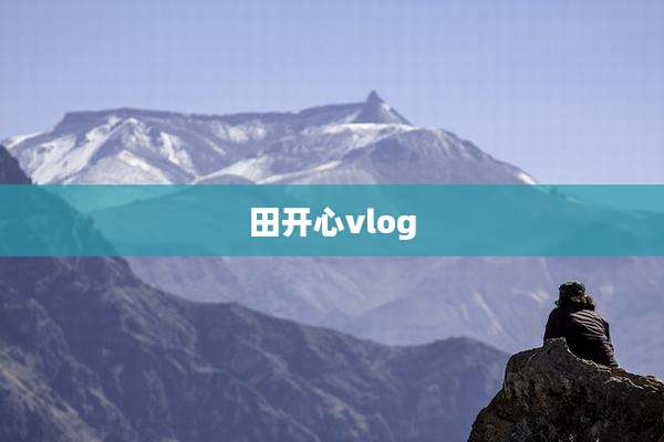 田开心vlog