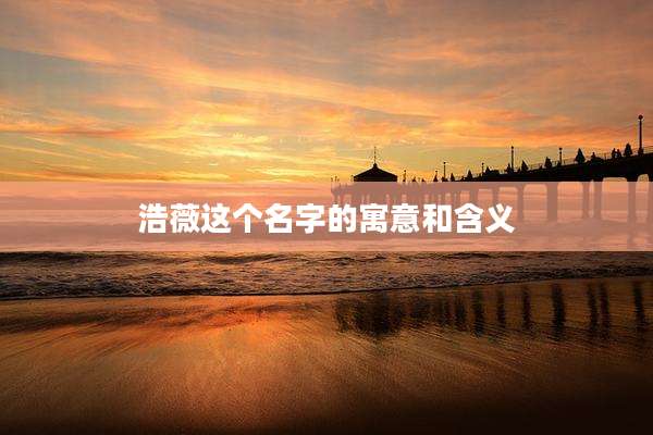 浩薇这个名字的寓意和含义