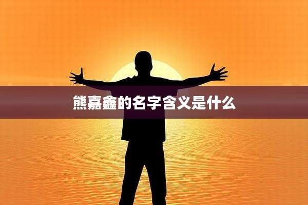 熊嘉鑫的名字含义是什么