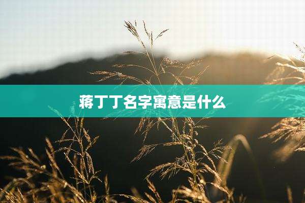 蒋丁丁名字寓意是什么