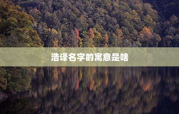 浩译名字的寓意是啥