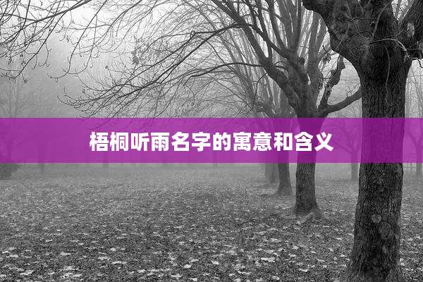梧桐听雨名字的寓意和含义