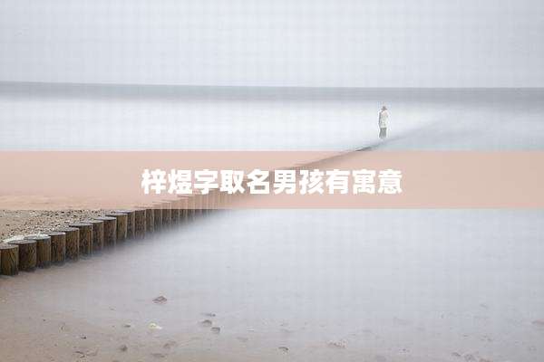 梓煜字取名男孩有寓意