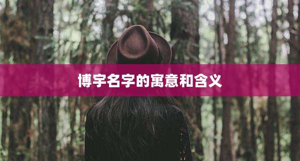 博宇名字的寓意和含义