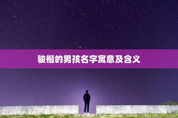 骏楷的男孩名字寓意及含义