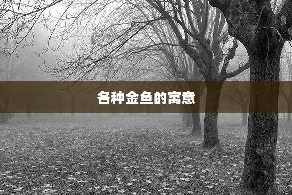 各种金鱼的寓意
