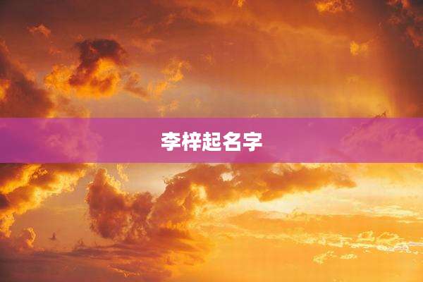 李梓起名字