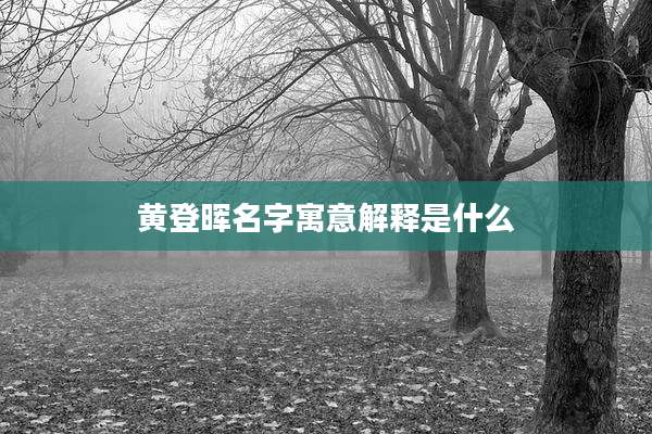 黄登晖名字寓意解释是什么
