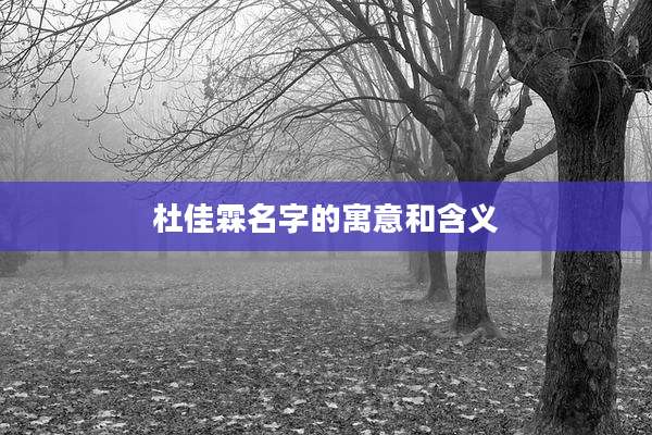 杜佳霖名字的寓意和含义