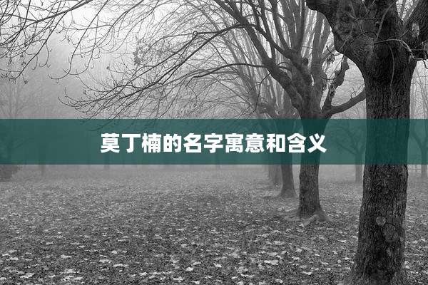 莫丁楠的名字寓意和含义