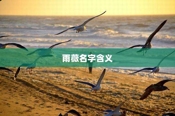 雨薇名字含义