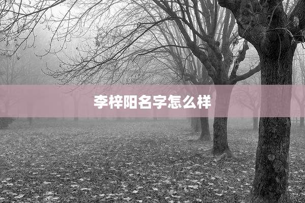李梓阳名字怎么样